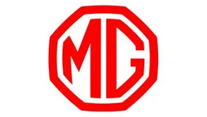 mg